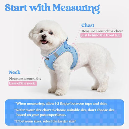 rabbitgoo Dog Harness Small Sized and Leash Set, Step in Soft Light Puppy Vest, Breathable Mesh Pet Harness, Reflective for Safe Easy Walking, Blue & Plaid Trim XXS
