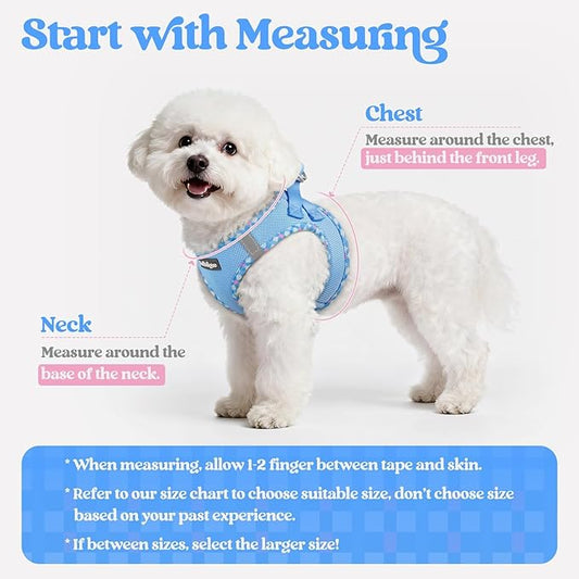 rabbitgoo Dog Harness Small Sized and Leash Set, Step in Soft Light Puppy Vest, Breathable Mesh Pet Harness, Reflective for Safe Easy Walking, Blue & Plaid Trim XXS