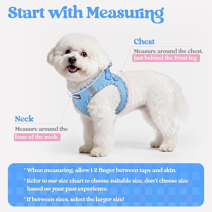 rabbitgoo Dog Harness Small Sized and Leash Set, Step in Soft Light Puppy Vest, Breathable Mesh Pet Harness, Reflective for Safe Easy Walking, Blue & Plaid Trim XS