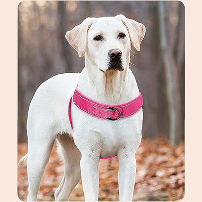 No Pull Dog Harness Pink for Small Medium Large Sized Dog, Reflective Escape Proof Adjustable Dog Harnesses with 2 Patch, M