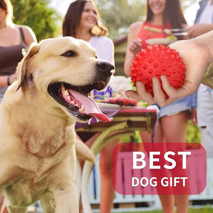 Apasiri Dog Balls Squeaky Dog Toys for Large Dogs, Dog Toys for Aggressive Chewers, Tough Spiky Dog Ball, Floatable Rubber Pet Toys for Medium Breed, Beef Flavor, Pack of 2