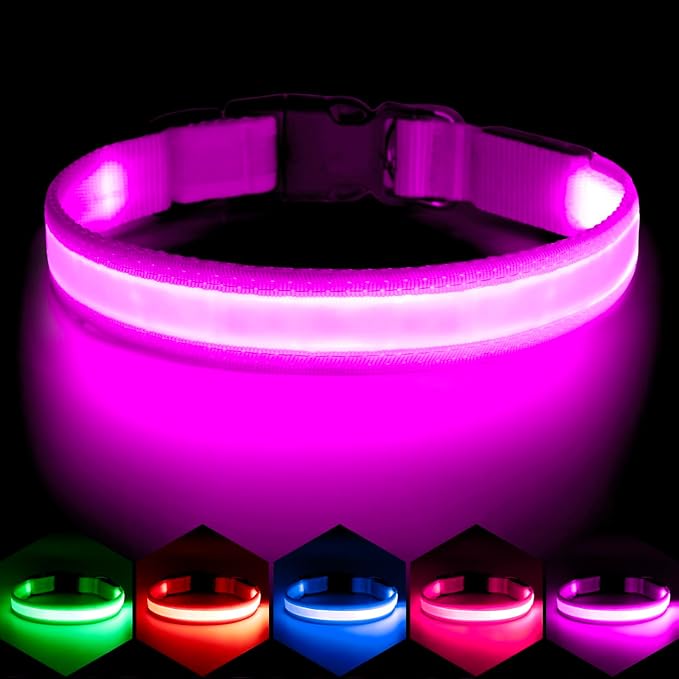 VIZPET LED Dog Collar, Light Up Dog Collar Adjustable USB Rechargeable Super Bright Safety Light Glowing Collars for Dogs (Purple, Large[18.89-23.62 inch/48-60cm])