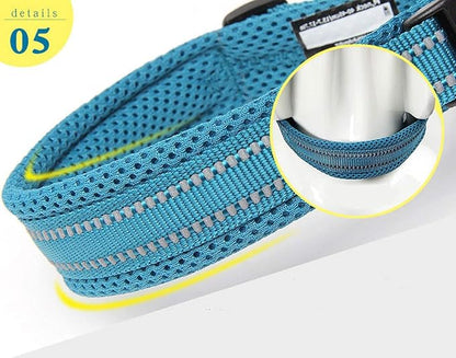 Truelove Dog Collar Reflective Premium Duraflex Buckle,High Grade Nylon Webbing No Choke Basic Collars TLC5011(Blue,L)