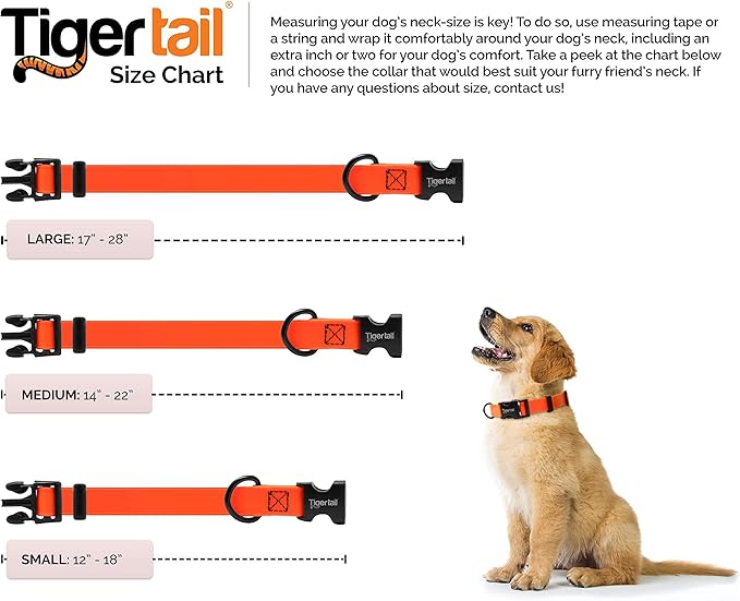 Tiger Tail Black Medium Dog Collar | Waterproof and Odor-Proof for Active Pets | Durable, Anti-Mat, and Lightweight Design | Made with Premium Coated Nylon | Suitable for Medium Breed Dogs