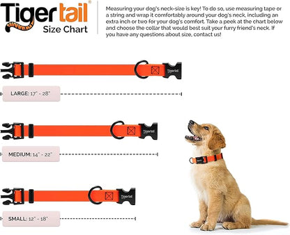 Tiger Tail Black Medium Dog Collar | Waterproof and Odor-Proof for Active Pets | Durable, Anti-Mat, and Lightweight Design | Made with Premium Coated Nylon | Suitable for Medium Breed Dogs
