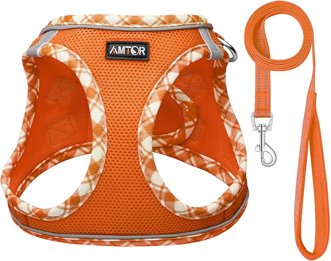 AMTOR Small Dog Harness with Leash Set, No Escape Easy Walk Puppy Harnesses for Training Walking, Step-in Reflective Soft Dogs Vest for XS S Medium Extra-Small Large Sized Dog(S Size,Orange/White)