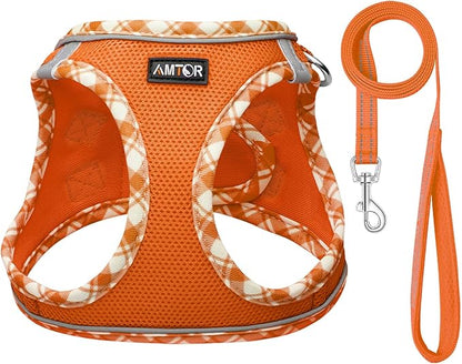 AMTOR Small Dog Harness with Leash Set, No Escape Easy Walk Puppy Harnesses for Training Walking, Step-in Reflective Soft Dogs Vest for XS S Medium Extra-Small Large Sized Dog(XXS Size,Orange/White)