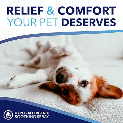 TropiClean OxyMed Hypoallergenic Hot Spot Treatment for Dogs, Dog Allergy Relief Spray, Gently Soothes Skin Irritation, Helps Alleviate Scratching, Chewing & Licking, Safe for Cats, 8oz.