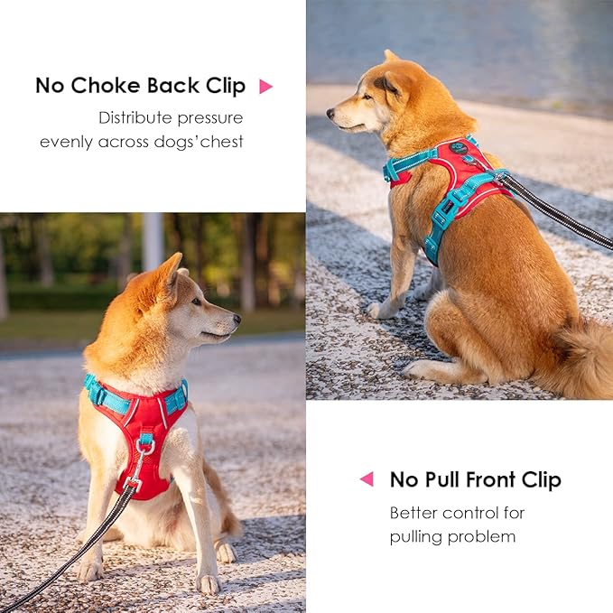 PHOEPET No Pull Dog Harness, Unique Colors Reflective Adjustable Dog Vest, with Soft Training Handle Metal Clips for Small Medium Large Dogs (Red Base & Teal Straps,XL)