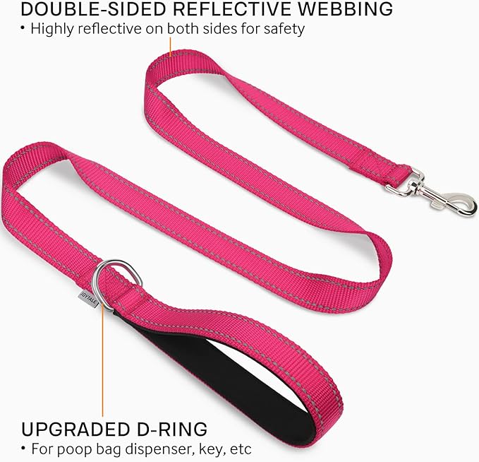 Joytale Double-Sided Reflective Dog Leash, 4 FT, Padded Handle Nylon Heavy Duty Leashes for Small & Medium Dogs Walking, Hotpink