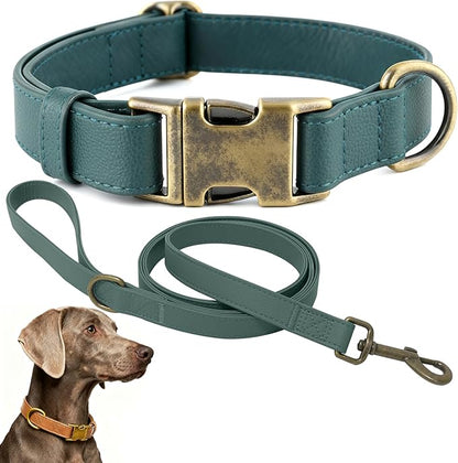 Silicone Dog Collar and Leash Set, Waterproof & Odor-Proof Puppy Collar for Small Dogs, Soft Flexible Leather-Look Dog Collars, Durable Thick Adjustable Pet Collar (Green, Medium (11.5-18.5 "Neck))