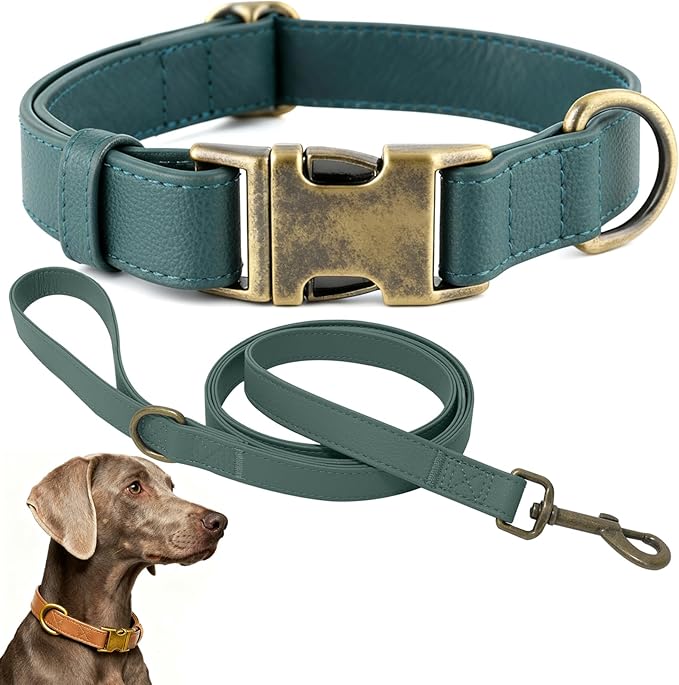 Silicone Dog Collar and Leash Set, Waterproof & Odor-Proof Puppy Collar for Small Dogs, Soft Flexible Leather-Look Dog Collars, Durable Thick Adjustable Pet Collar (Green, Large (14.5-24" Neck))