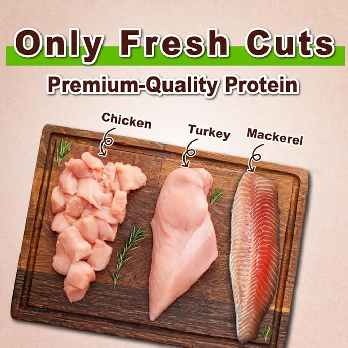 A Freschi srl Healthy Cats Treats, Snacks for Indoor Cats, Omega 3 for Skin and Coat, Training Treats with High Protein, All Natural, Grain Free, Turkey & Chicken & Mackerel, W Shape, 6 oz