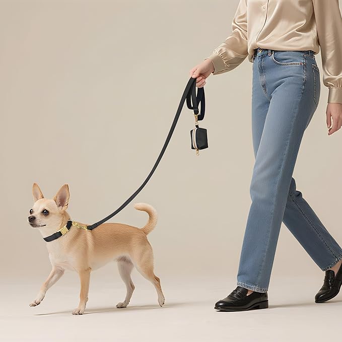 Didog 5FT Colorful Nylon Dog Leash with Soft Full-Length Padding, Lightweight and Durable Pet Leash for Small Dogs, Black, S