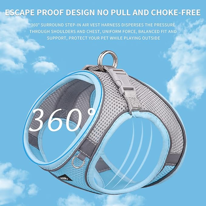 AIITLE Small Harness for Puppy with A Leash - Dog Vest Harness with Super Breathable Mesh, Reflective No-Pull Pet Harness for Outdoor Walking, Running for Small Dogs, Cats Blue XXS