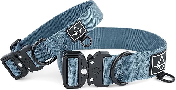 Made to ROAM Premium Dog Collar - Adjustable Heavy Duty Nylon Collar with Quick-Release Metal Buckle (California Horizon, Classic Size 0)