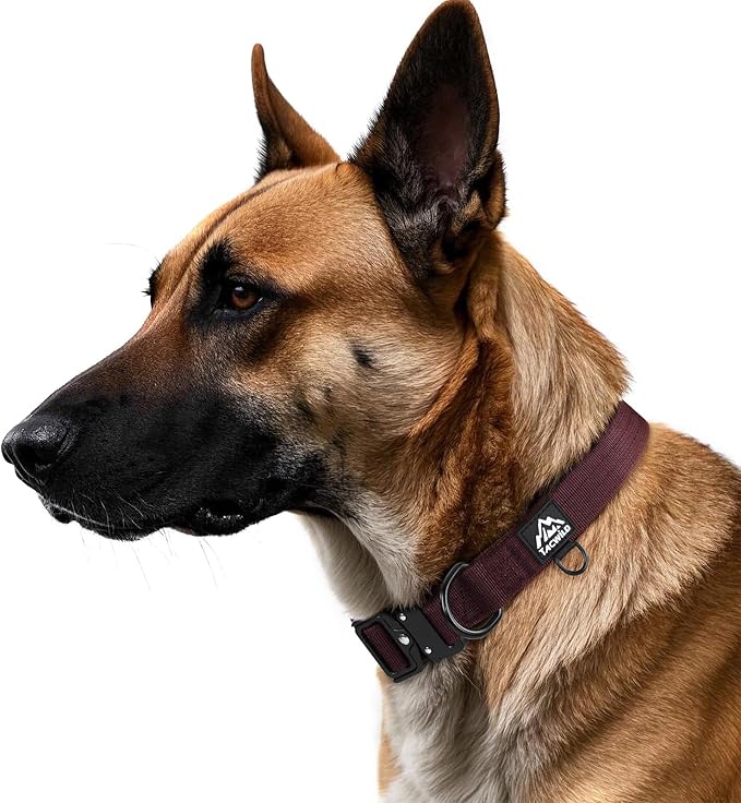 Heavy Duty Dog Collars for Medium and Large Dogs - Adjustable, Chew Proof Nylon Collar with Metal Quick Release Buckle and D-Ring for Dog Tags (Burgundy, XL)