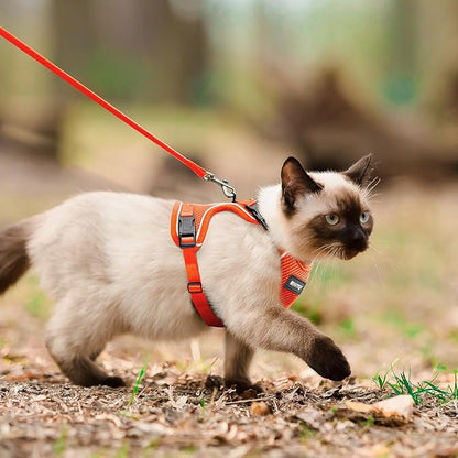 Cat Harness and Leash for Walking Escape Proof Soft Adjustable Cat Leash Breathable Comfortable Vest Easy to Wear Kitten Harness for Outdoor Travel, Orange, XS