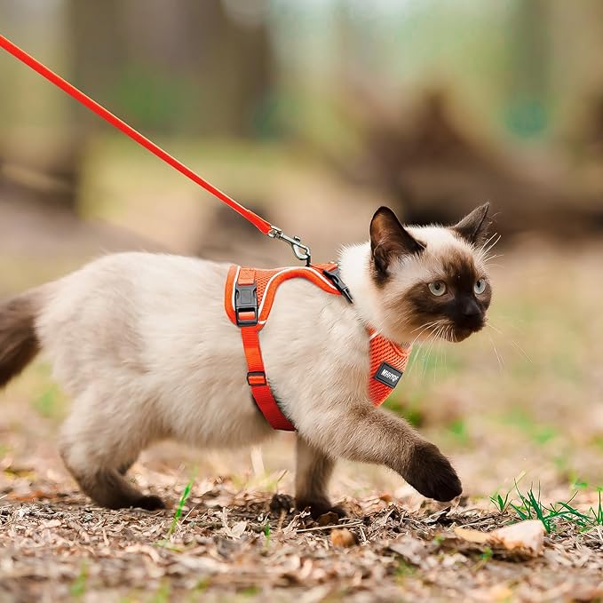 Cat Harness and Leash for Walking Escape Proof Soft Adjustable Cat Leash Breathable Comfortable Vest Easy to Wear Kitten Harness for Outdoor Travel, Orange, S