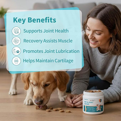 Glucosamine for Dogs Hip and Joint Supplement for Dogs Chews with Glucosamine Chondroitin Omega 3 MSM and Turmeric for Pain Relief, Mobility & Hip Care- Chicken Flavor, 90 Ct