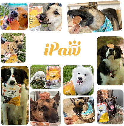 iPaw Chicken Chips Dog Treats for Puppy Training, All Natural Human Grade Dog Treat, Hypoallergenic, Easy to Digest (Chicken Chips), 2 Packs
