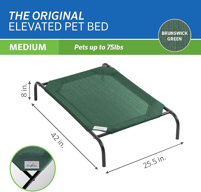 Coolaroo The Original Cooling Elevated Pet Bed, Medium, Brunswick Green