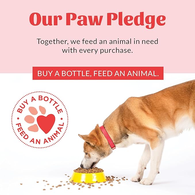Skout's Honor Probiotic Pet Detangler Spray - Hydrating & Conditioning w/Avocado Oil, 97% Natural, Paraben & Sulfate-Free, softens for a More brushable Coat, Daily Use, 8oz, Honeysuckle, 2-Pack