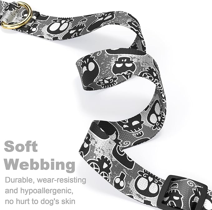 Rnivvi Dog Collar for Small Dogs, Cute Heavy Duty Adjustable Puppy Collar with Quick Release Buckle for Girl & Female, Pet Accessories for Walking Running, XS Length 5/8" Width, Black Skull