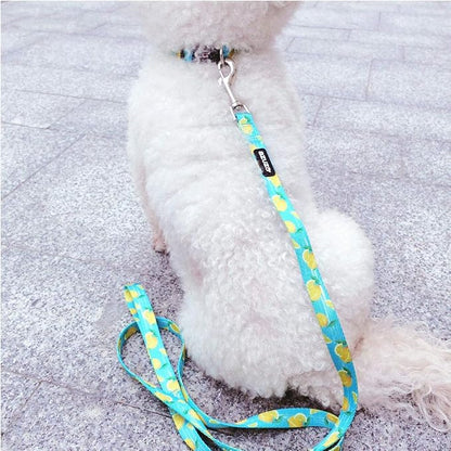 azuza Dog Collar and Leash Set, Lemon Patterns on Blue Nylon Collar and Matching Leash, Great Option for Large Dogs