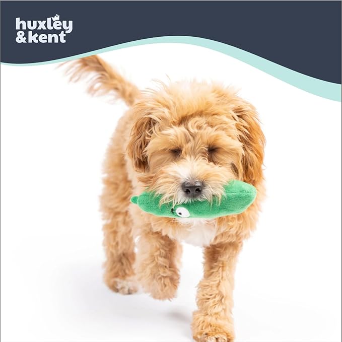 Huxley & Kent Funny Dog Toy w/Squeaker – Power Plush Squeaky Dog Toys for Small Dogs – Durable Small Stuffed Animal for Indoor Play & Fetch - Tiny Tuff Dell Pickle