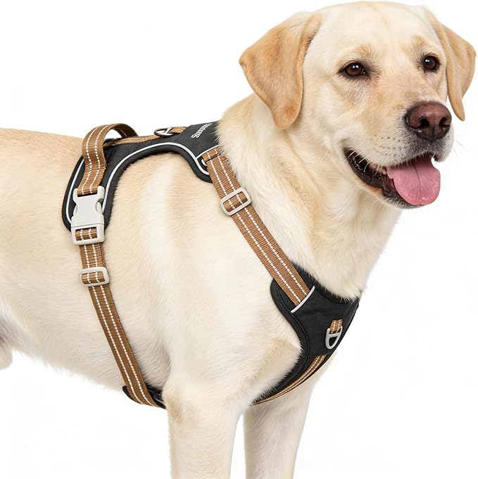 No Pull Reflective Black Dog Harness with Easy Control Handle, Soft Padded Mesh Liner, Adjustable Dog Vest Harness for Large Medium Small Dogs (Black, S)