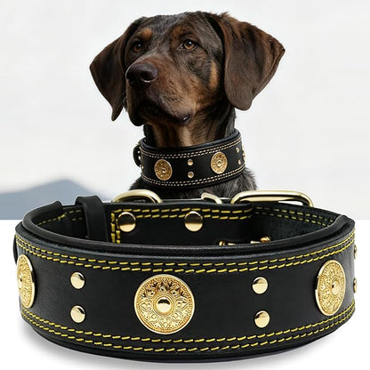 Leather Dog Collar, 2 inches Wide Heavy Duty Genuine Leather Collars, Handmade, Soft, and Luxury, Eye-catching Best Choice for Large and Medium Breed Dogs, Black-Gold 18.5-22.5 in