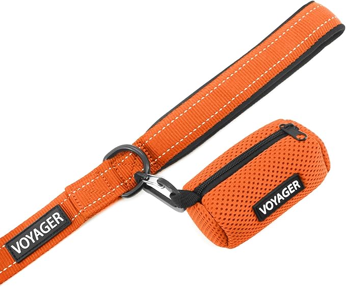 Best Pet Supplies Voyager Reflective Dog Leash or Collar with Neoprene Handle, for Small, Medium, and Large Breed Puppies, Cute and Heavy Duty for Walking, Running and Training - Orange (Leash), L