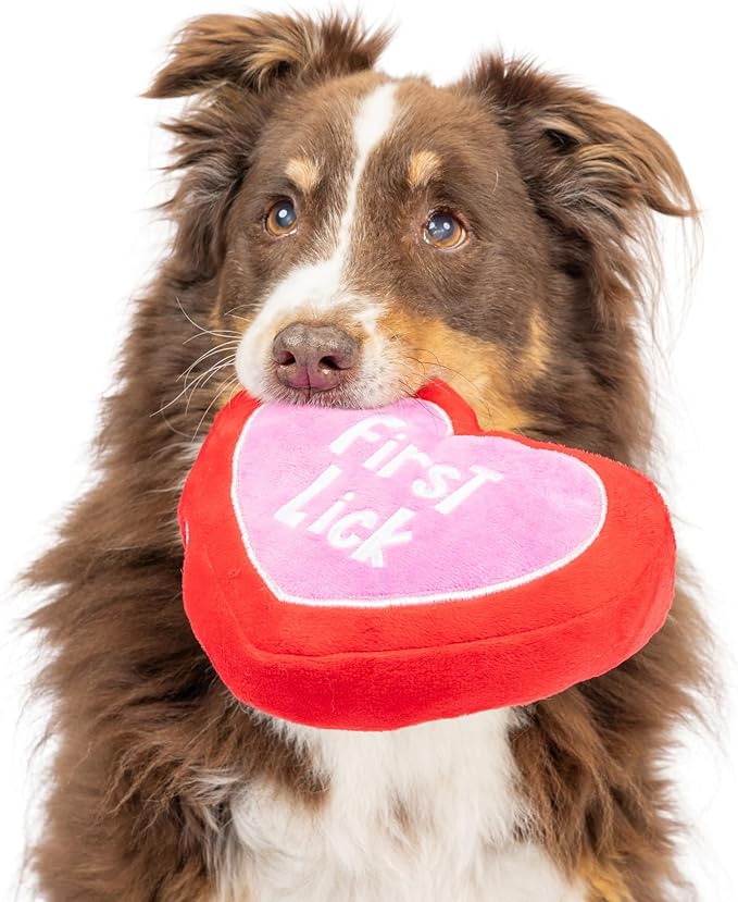 Huxley & Kent Funny Dog Toy w/Squeaker – Power Plush Squeaky Dog Toys for Small, Medium & Large Dogs – Soft Stuffed Animal for Indoor Play & Fetch - First Lick Heart, Small