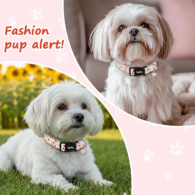 Valentines Dog Collar with Multi-Heart Pattern, Adjustable Puppy Collar with Safety Buckle & Heart Charm, Spring Summer for Girl Boy Dogs-XS