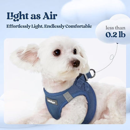 rabbitgoo Dog Harness Small Sized and Leash Set, Step in Soft Light Puppy Vest, Breathable Mesh Pet Harness, Reflective for Safe Outdoor Walking, Navy Blue XXS