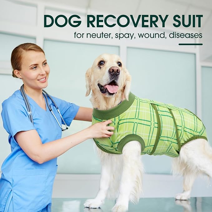 Kuoser Dog Recovery Suit for Female Male Dogs, Post-Surgery Bodysuit for Spay Neuter, Dog Onesie After Surgery, Anti-Licking Pet Surgical Recovery Suit, Green L