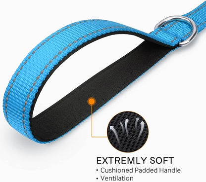 Joytale Double-Sided Reflective Dog Leash, 6 FT/5 FT/4 FT, Padded Handle Nylon Heavy Duty Leashes for Medium & Large Dogs Walking, Sky Blue, 5FT