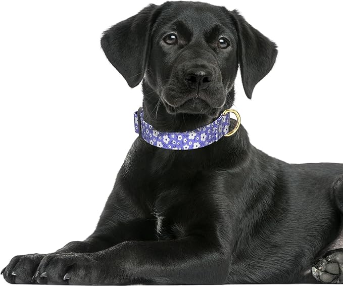 Rnivvi Dog Collar for Large Dogs, Cute Heavy Duty Adjustable Puppy Collar with Quick Release Buckle for Boy Girl & Female, Pet Accessories for Walking Running, L Length 1" Width, Purple White