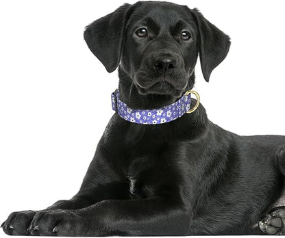 Rnivvi Dog Collar for Large Dogs, Cute Heavy Duty Adjustable Puppy Collar with Quick Release Buckle for Boy Girl & Female, Pet Accessories for Walking Running, L Length 1" Width, Purple White