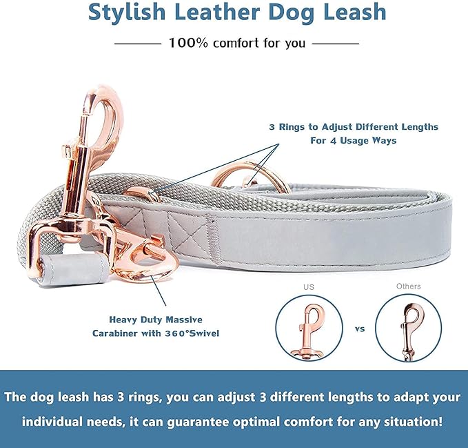 Soft Leather Dog Collar and Leash (6.6') Set - Stylish Rose Gold Heavy Duty Metal Buckle, 4 Adjustable Lengths Leash for Small Medium Large Dogs - Comfortable & Easy to Clean Grey XS(8"-12")