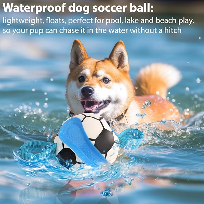 Eneston Dog Toys Balls, Interactive Dog Soccer Ball with Pull Straps, Bouncing Water Toy, Durable Training Toy for Small Medium Pets, Puppy Toy for Indoor Outdoor Play
