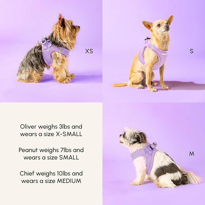 Downtown Pet Supply Step in Dog Harness for Medium Dogs - Adjustable, Escape Proof Dog Harness with Reflective Trim - All-Weather, Fast-Drying Padded Mesh Fabric - Lilac, M