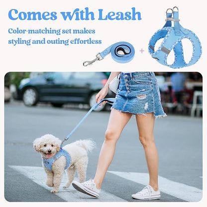 rabbitgoo Dog Harness Small Sized and Leash Set, Step in Soft Light Puppy Vest, Breathable Mesh Pet Harness, Reflective for Safe Easy Walking, Blue & Plaid Trim XXS