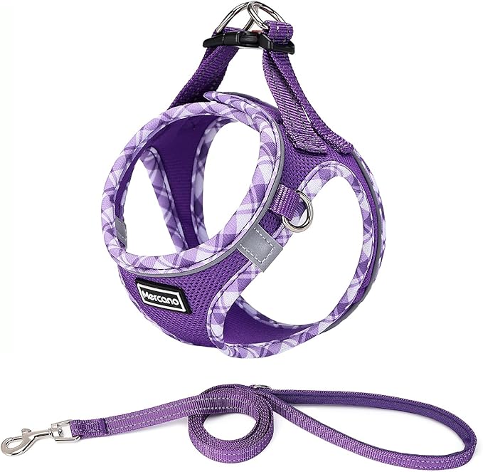 Mercano Soft Mesh Dog Harness and Leash Set, No-Chock Step-in Reflective Breathable Lightweight Easy Walk Vest Harnesses with Safety Buckle for Small Dogs, Cats (L, Purple)