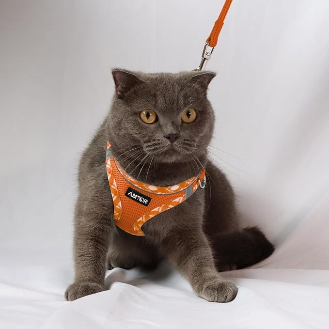 AMTOR Small Dog Harness with Leash Set, No Escape Easy Walk Puppy Harnesses for Training Walking, Step-in Reflective Soft Dogs Vest for XS S Medium Extra-Small Large Sized Dog(S Size,Orange/White)