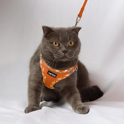 AMTOR Small Dog Harness with Leash Set, No Escape Easy Walk Puppy Harnesses for Training Walking, Step-in Reflective Soft Dogs Vest for XS S Medium Extra-Small Large Sized Dog(S Size,Orange/White)