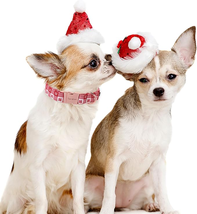 Unique style paws Dog Collar Metal Buckle Collar for Winter Christmas Red Papercut for Small Medium Large Boys Girls Dogs