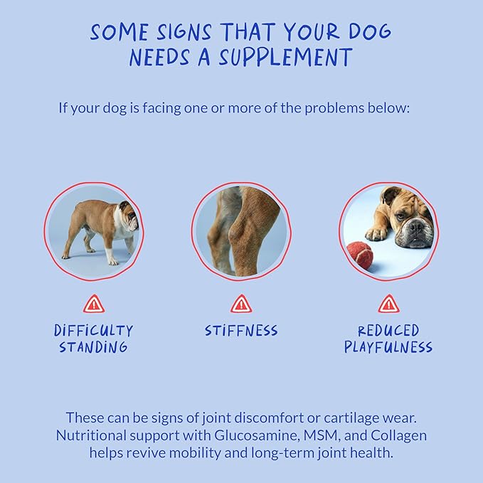 Hip and Joint Supplement for Dogs - with Collagen, Glucosamine for Dogs - Fish Oil - Hip & Joint Support, Ease Inflammation, Antioxidant. (Max Strength)