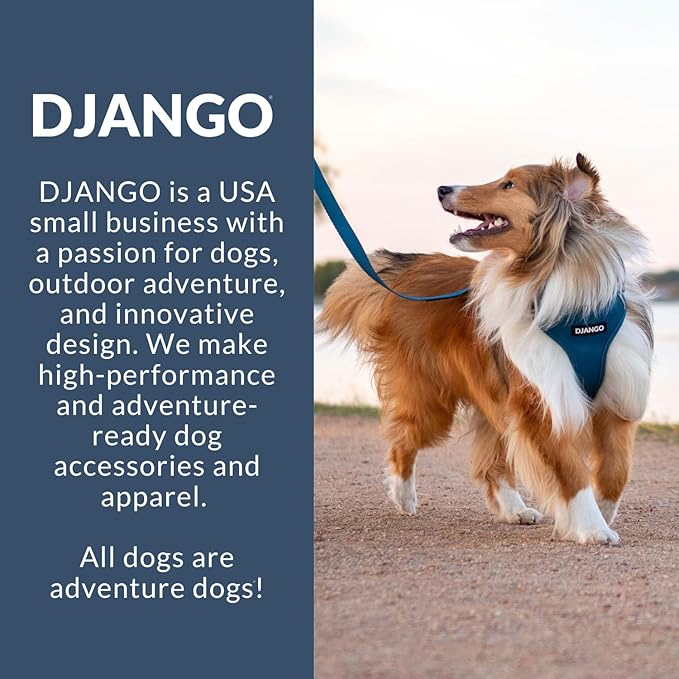 DJANGO Adventure Dog Harness - Stylish and Durable Small Dog Harness for Outdoor Adventures and Everyday Wear - Forest Green Neoprene Adjustable Harness for Dogs with Reflective Piping & Brass D-Ring